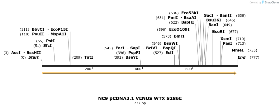 48343_map