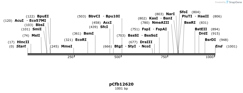 483598_map
