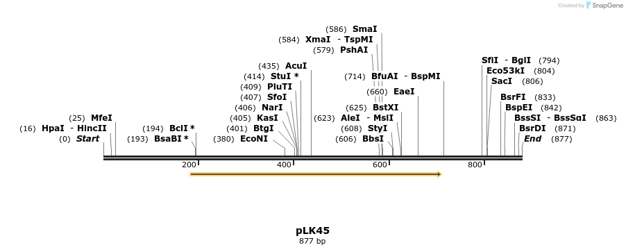 48364_map