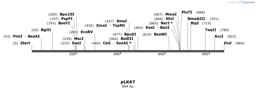 48366_map
