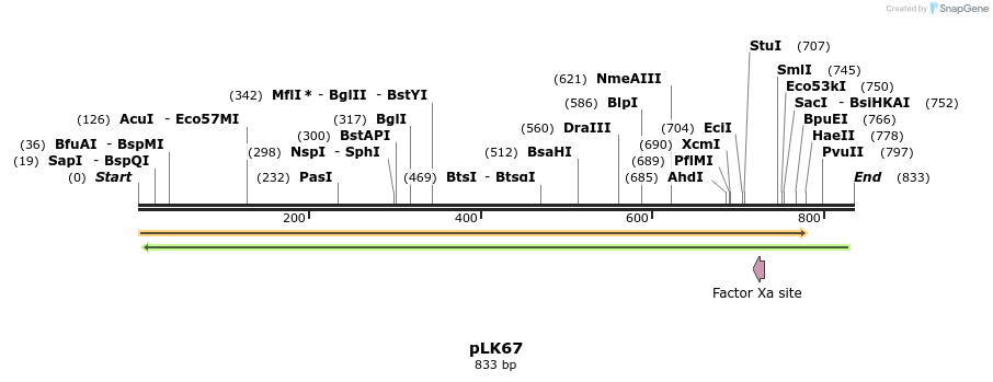 48367_map