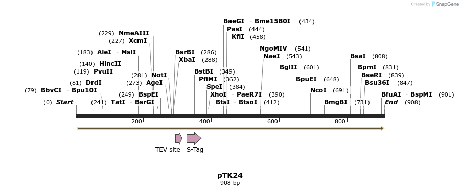 48370_map