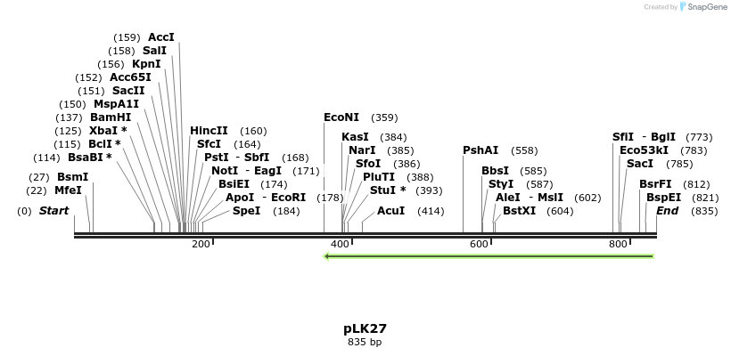 48376_map