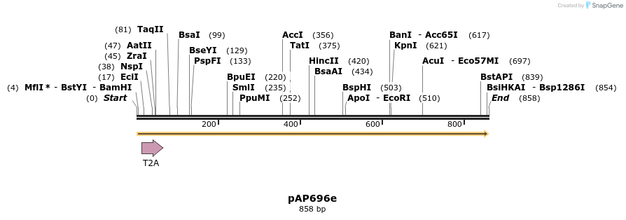 483762_map