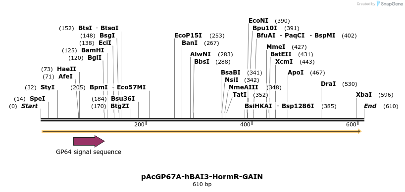 48377_map
