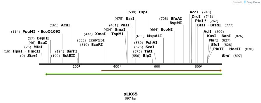 48379_map