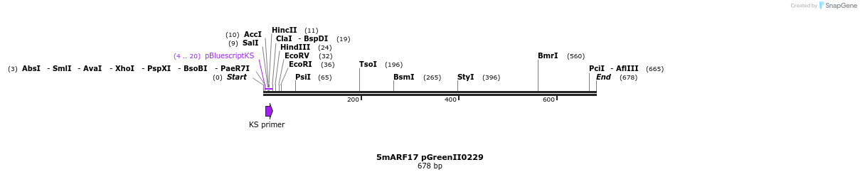 48385_map