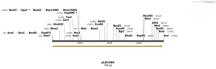 48386_map