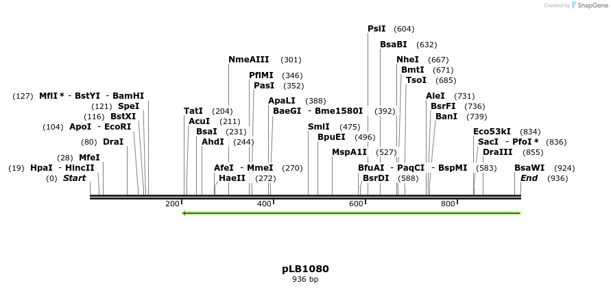 48390_map