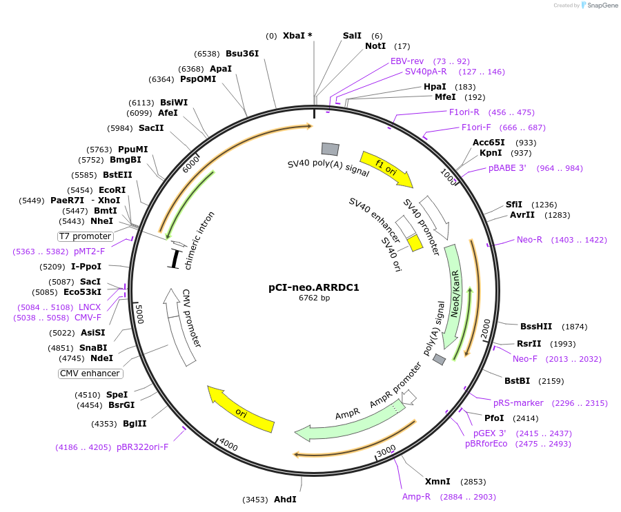48391_map