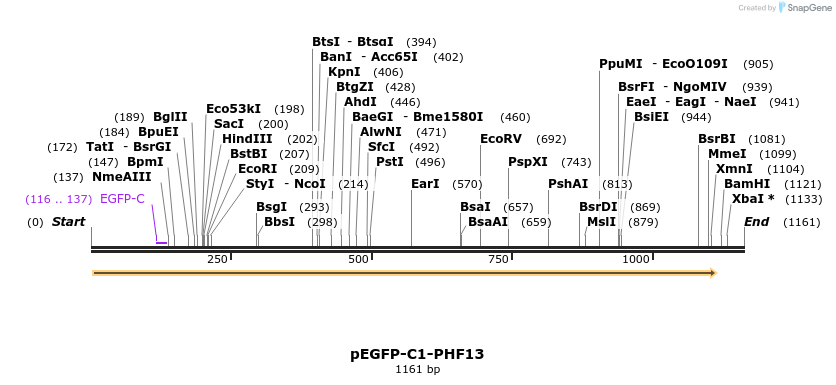483941_map