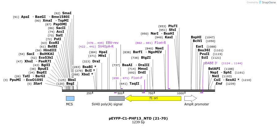 483950_map