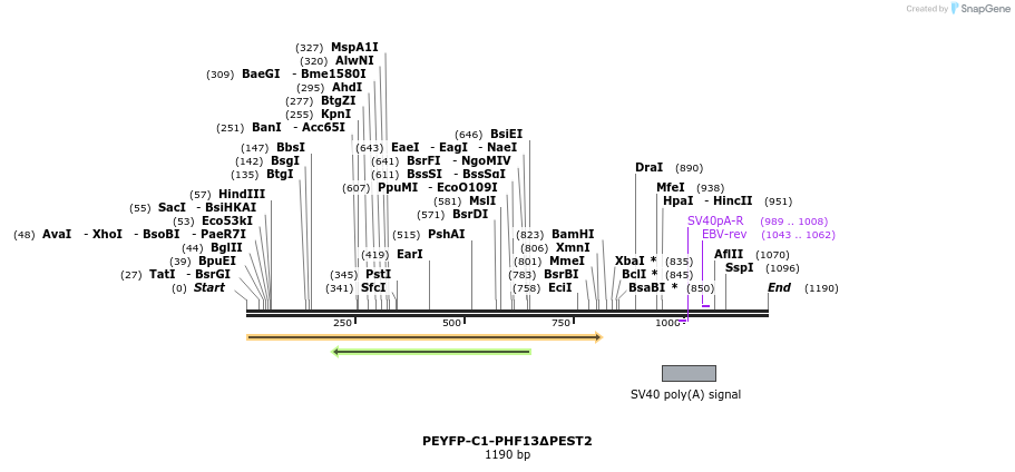 483956_map