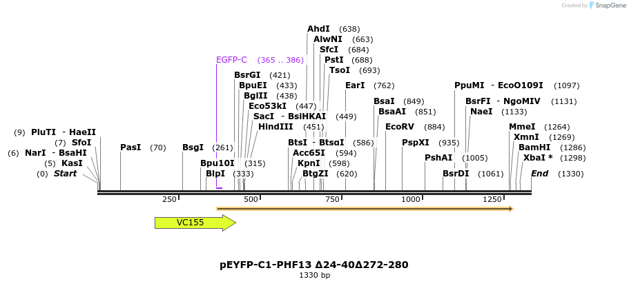 483960_map