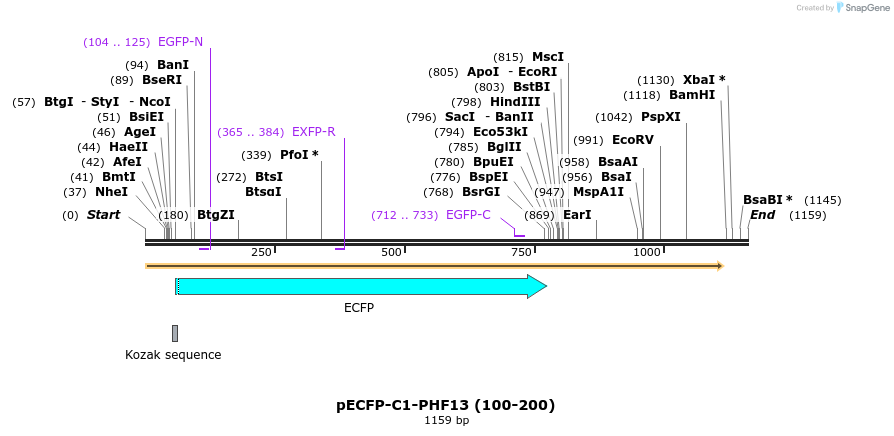 483971_map