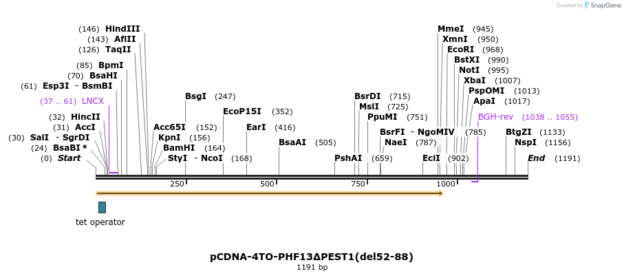483985_map