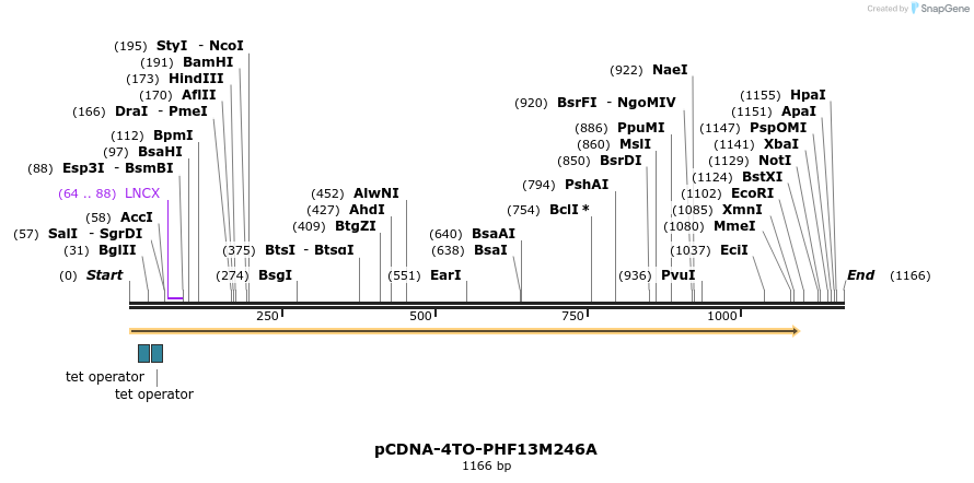 483988_map