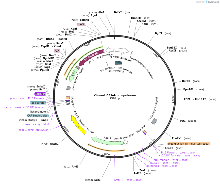 484001_map