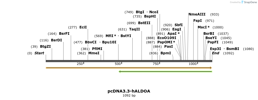484021_map