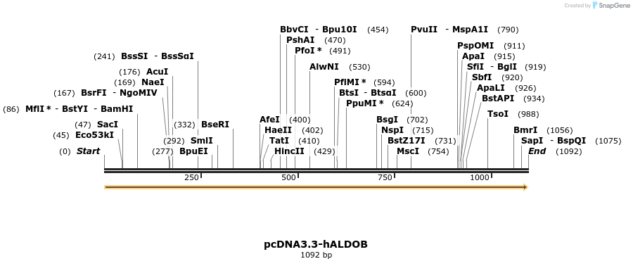 484023_map