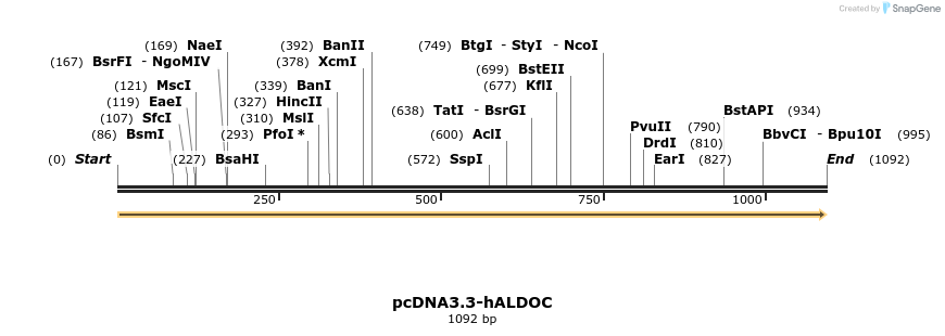 484025_map