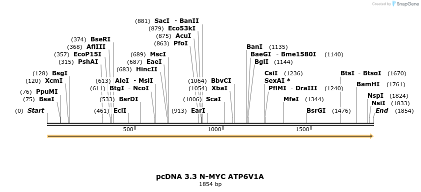 484027_map
