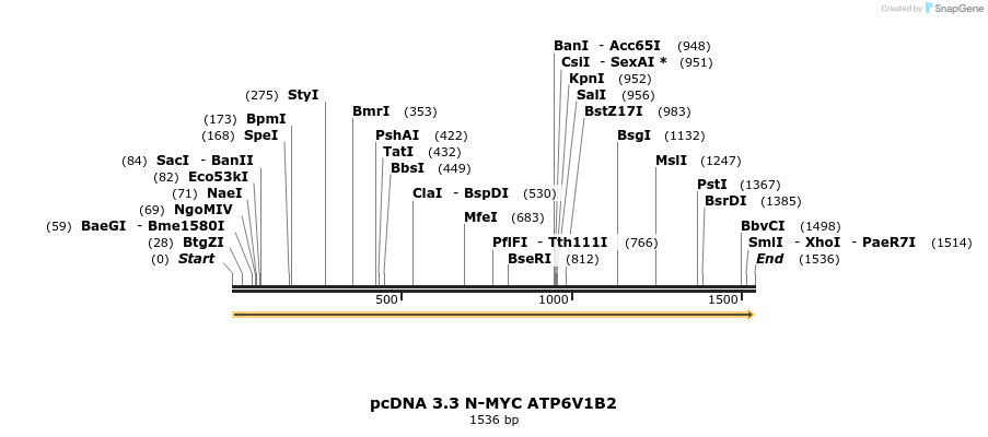 484029_map