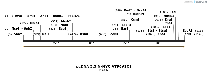 484031_map