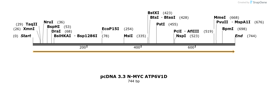 484035_map