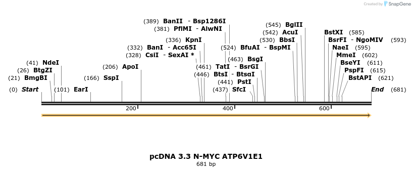 484037_map