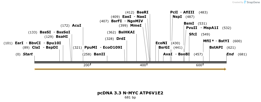 484039_map
