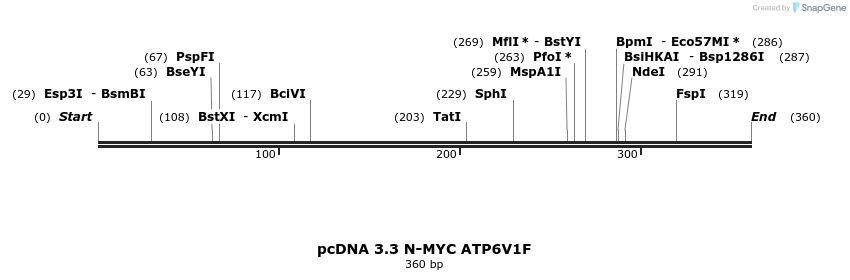 484041_map