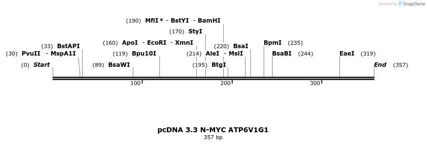 484043_map