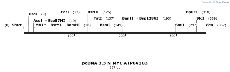 484047_map