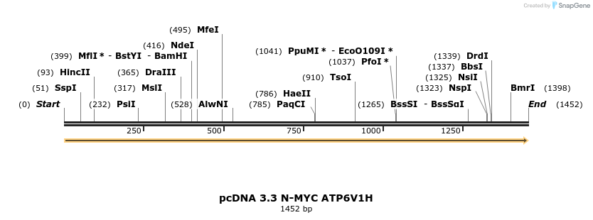 484049_map