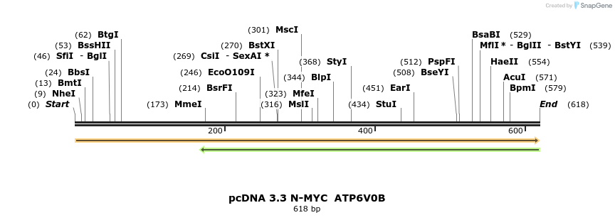 484055_map
