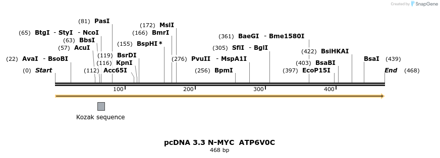 484057_map