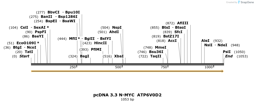 484061_map