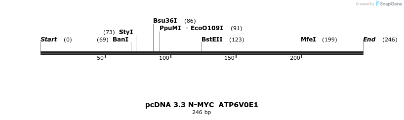 484063_map