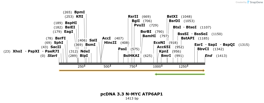 484065_map