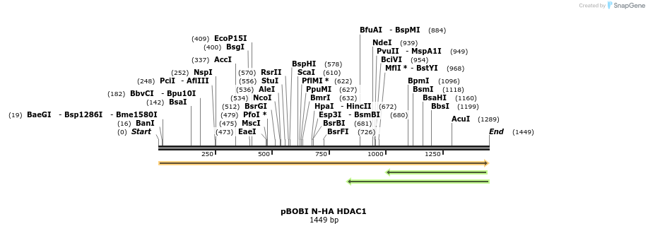 484069_map