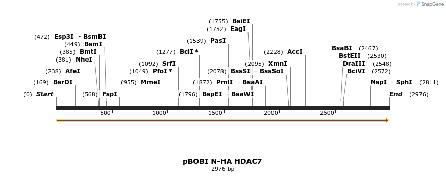 484081_map