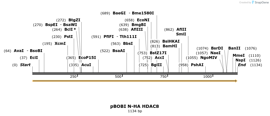484083_map