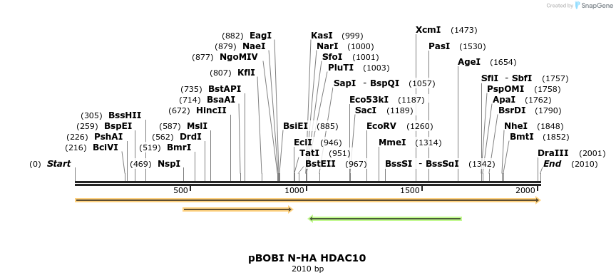 484087_map