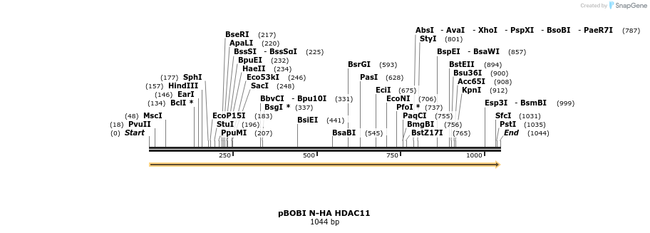 484089_map