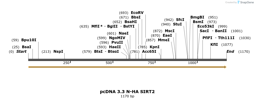484093_map