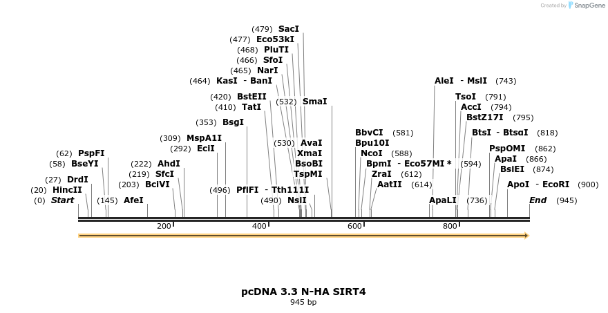 484097_map