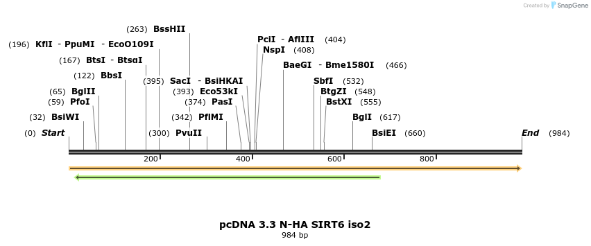 484101_map