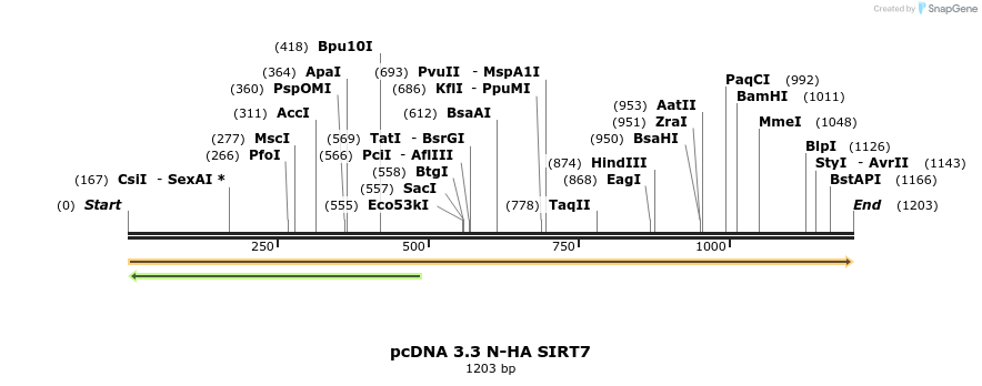 484103_map