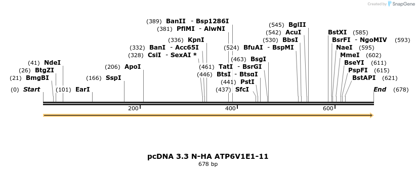 484109_map